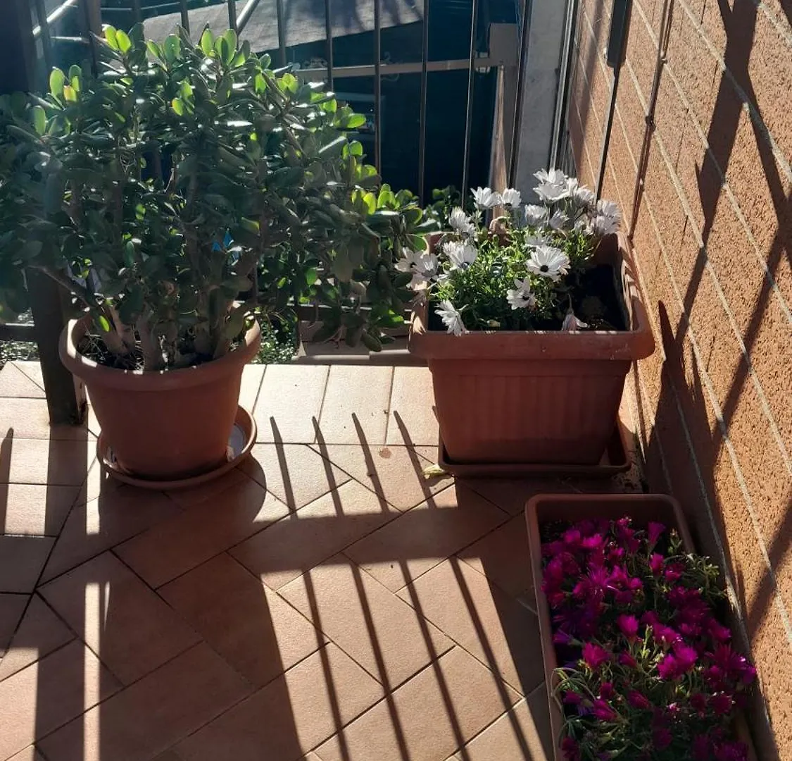 La Romana Apartment